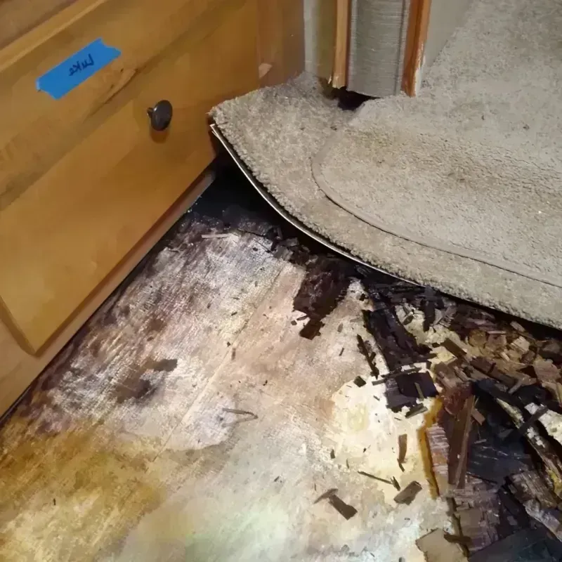 Wood Floor Water Damage in Harper, KS